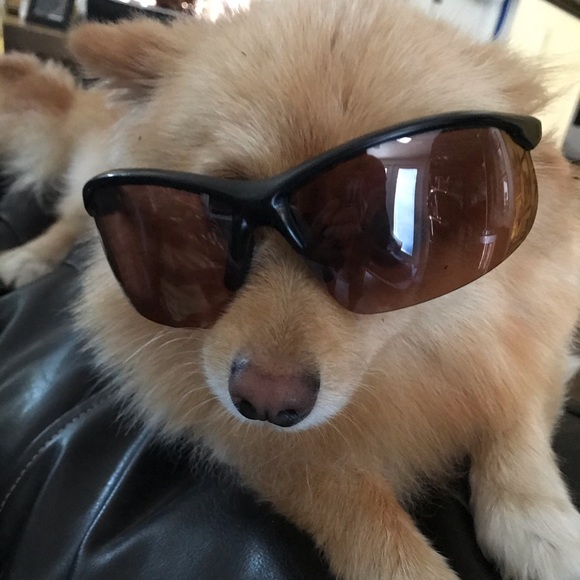 Meet your Posher, Carmen - Picture 1 of 1